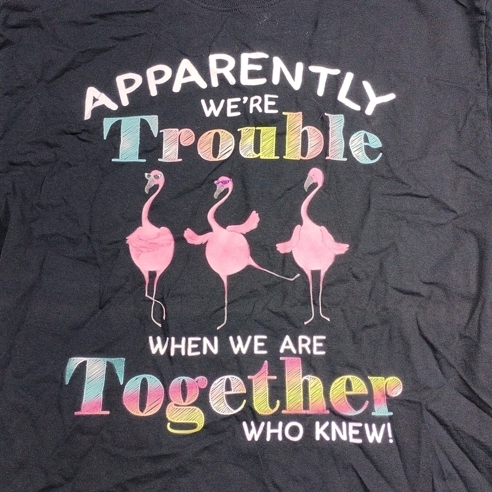 Flamingo trouble women's large t shirt